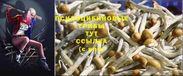 марки lsd Пересвет
