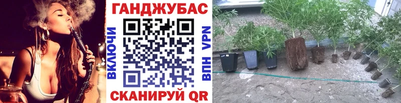 Бошки марихуана ГИДРОПОН Задонск